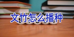 文竹怎么播种