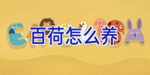 百荷怎么养