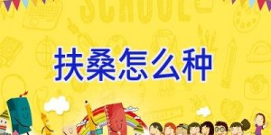 扶桑怎么种