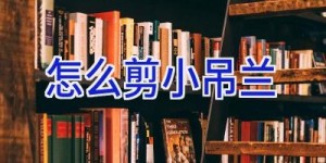 怎么剪小吊兰