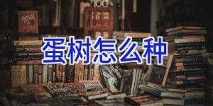 蛋树怎么种