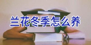 兰花冬季怎么养