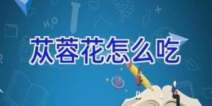苁蓉花怎么吃