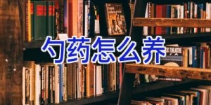 勺药怎么养