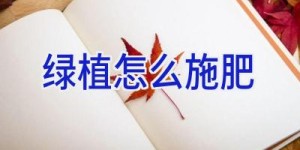 绿植怎么施肥