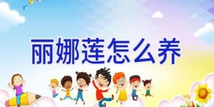 丽娜莲怎么养