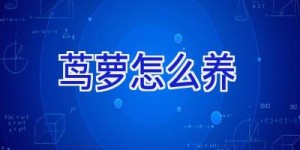 茑萝怎么养
