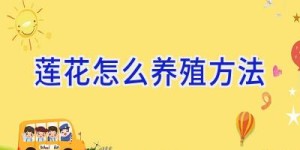 莲花怎么养殖方法