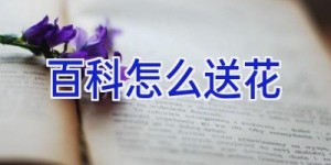 百科怎么送花