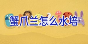 蟹爪兰怎么水培