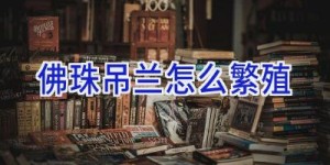 佛珠吊兰怎么繁殖