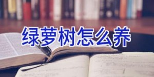 绿萝树怎么养