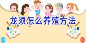 龙须怎么养殖方法