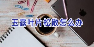 玉露叶片松散怎么办
