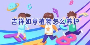 吉祥如意植物怎么养护