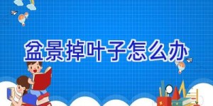 盆景掉叶子怎么办