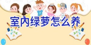 室内绿萝怎么养