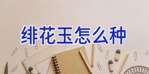 绯花玉怎么种