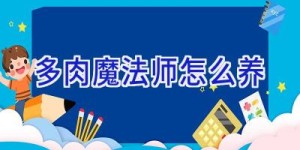 多肉魔法师怎么养