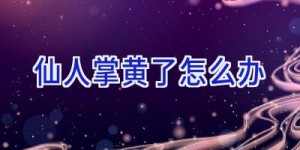 仙人掌黄了怎么办