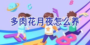 多肉花月夜怎么养