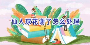仙人球花谢了怎么处理