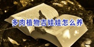多肉植物吉娃娃怎么养