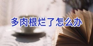 多肉根烂了怎么办