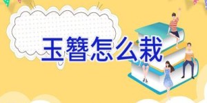 玉簪怎么栽