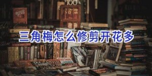 三角梅怎么修剪开花多