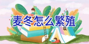 麦冬怎么繁殖