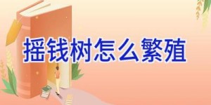摇钱树怎么繁殖