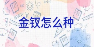 金钗怎么种