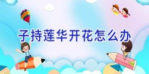 子持莲华开花怎么办