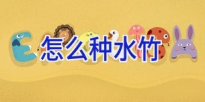 怎么种水竹