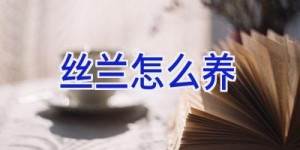 丝兰怎么养