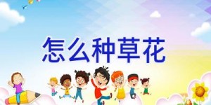 怎么种草花