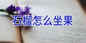 石榴怎么坐果