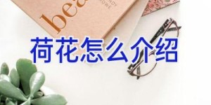 荷花怎么介绍