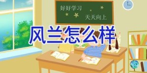 风兰怎么样
