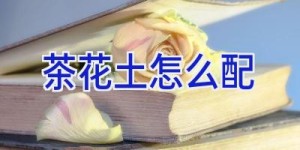 茶花土怎么配