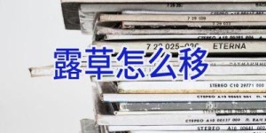 露草怎么移