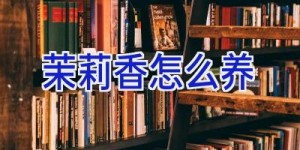 茉莉香怎么养