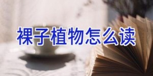裸子植物怎么读