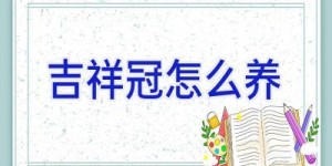 吉祥冠怎么养