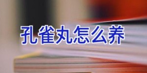 孔雀丸怎么养