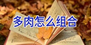 多肉怎么组合