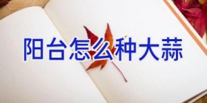 阳台怎么种大蒜