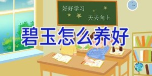 碧玉怎么养好