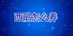 西鹃怎么养